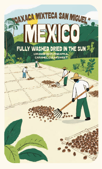 OAXACA "MIXTECA SAN MIGUEL”