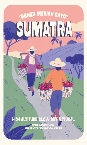 SUMATRA “BENER MERIAH GAYO”
