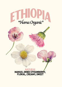 ETHIOPIA YIRGACHEFFE 3 NATURAL FT-FLO/USA ORGANIC HAMA