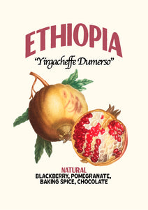 ETHIOPIA YIRGACHEFFE 3 NATURAL FT-FLO/USA ORGANIC DUMERSO