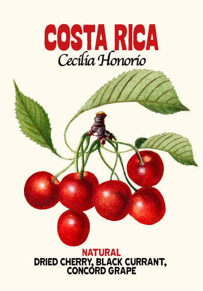 Costa Rica Cecilia Honorio